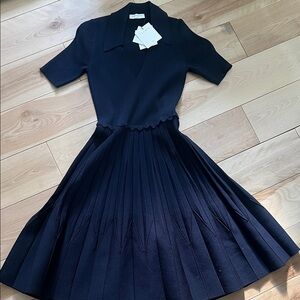 Sandro A line Elegant Black Pleated Dress